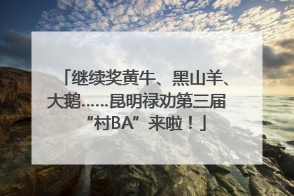 继续奖黄牛、黑山羊、大鹅……昆明禄劝第三届“村BA”来啦！