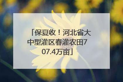保夏收！河北省大中型灌区春灌农田707.4万亩