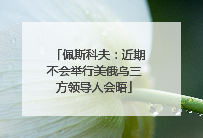 佩斯科夫：近期不会举行美俄乌三方领导人会晤