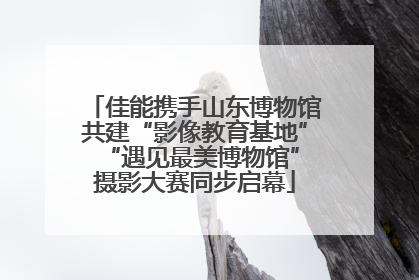 佳能携手山东博物馆共建“影像教育基地” “遇见最美博物馆”摄影大赛同步启幕