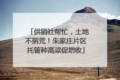 供销社帮忙，土地不撂荒！朱家庄片区托管种高粱促增收