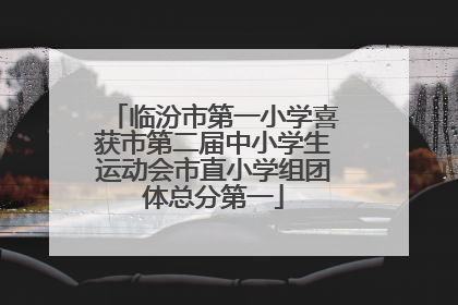 临汾市第一小学喜获市第二届中小学生运动会市直小学组团体总分第一