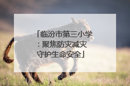 临汾市第三小学：聚焦防灾减灾 守护生命安全