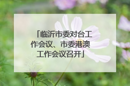 临沂市委对台工作会议、市委港澳工作会议召开
