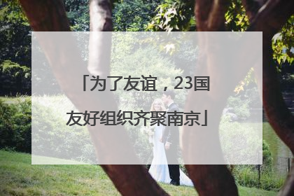 为了友谊，23国友好组织齐聚南京