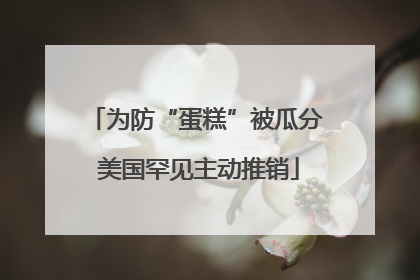 为防“蛋糕”被瓜分 美国罕见主动推销