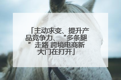 主动求变、提升产品竞争力、“多条腿”走路 跨境电商新大门在打开