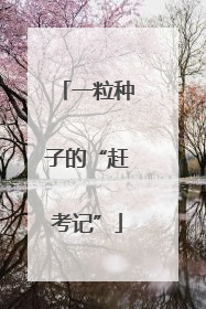 一粒种子的“赶考记”