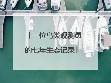 一位鸟类观测员的七年生态记录