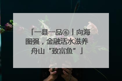 一县一品⑥丨向海图强，金融活水滋养舟山“致富鱼”