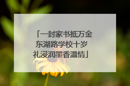 一封家书抵万金 东湖路学校十岁礼浸润墨香温情
