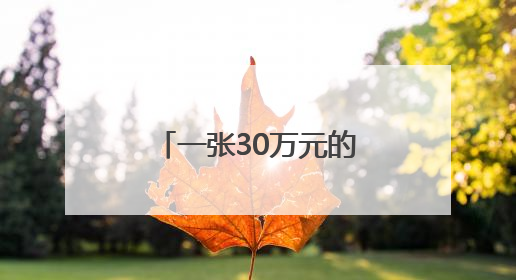 一张30万元的特殊电子回单