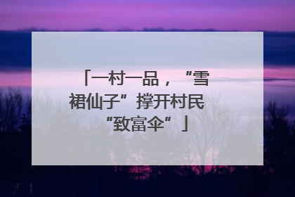 一村一品，“雪裙仙子”撑开村民“致富伞”