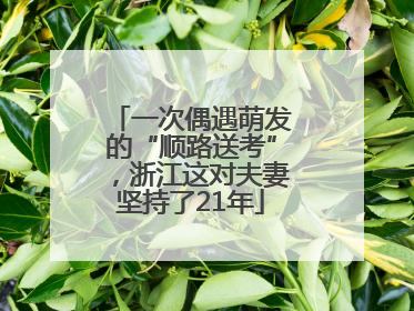 一次偶遇萌发的“顺路送考”，浙江这对夫妻坚持了21年