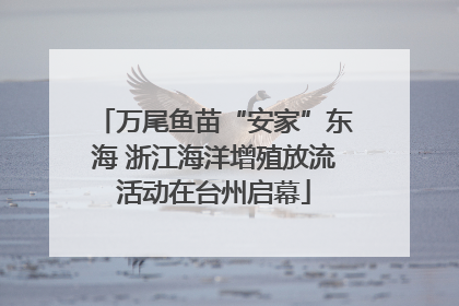 万尾鱼苗“安家”东海 浙江海洋增殖放流活动在台州启幕