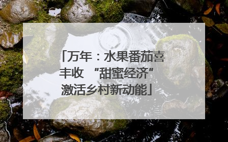 万年：水果番茄喜丰收 “甜蜜经济”激活乡村新动能