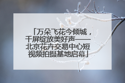 万朵飞花今倾城，千屏绽放美好声——北京花卉交易中心短视频拍摄基地启幕