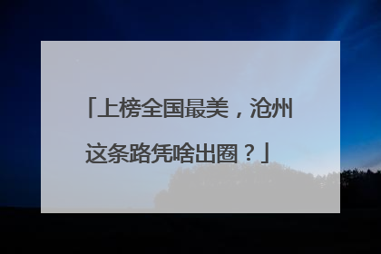 上榜全国最美，沧州这条路凭啥出圈？