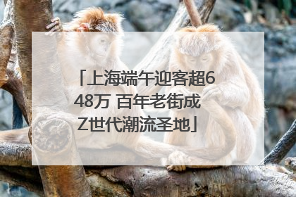 上海端午迎客超648万 百年老街成Z世代潮流圣地
