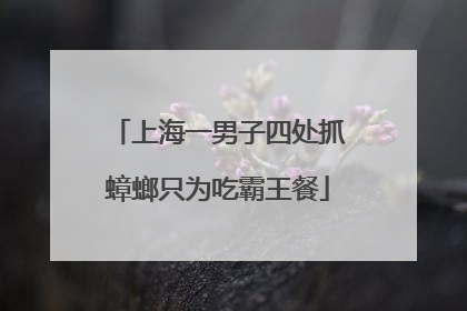 上海一男子四处抓蟑螂只为吃霸王餐