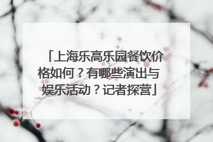 上海乐高乐园餐饮价格如何？有哪些演出与娱乐活动？记者探营