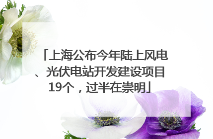 上海公布今年陆上风电、光伏电站开发建设项目19个，过半在崇明