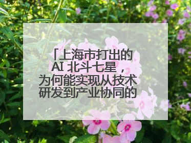 上海市打出的 AI 北斗七星，为何能实现从技术研发到产业协同的闭环生态