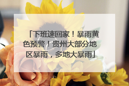 下班速回家！暴雨黄色预警！贵州大部分地区暴雨，多地大暴雨