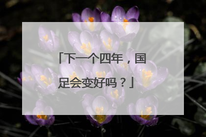 下一个四年，国足会变好吗？