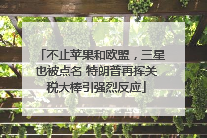 不止苹果和欧盟，三星也被点名 特朗普再挥关税大棒引强烈反应