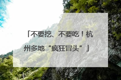 不要挖、不要吃！杭州多地“疯狂冒头”