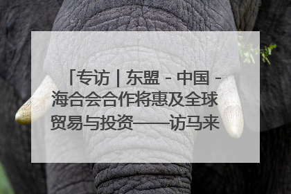专访｜东盟－中国－海合会合作将惠及全球贸易与投资——访马来西亚亚太“一带一路”共策会高级研究员本恩·纳戈拉