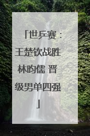 世乒赛：王楚钦战胜林昀儒 晋级男单四强