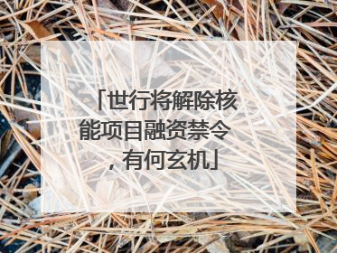 世行将解除核能项目融资禁令，有何玄机