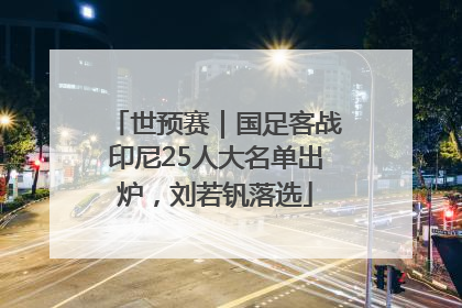 世预赛｜国足客战印尼25人大名单出炉，刘若钒落选