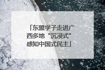 东盟学子走进广西多地“沉浸式”感知中国式民主