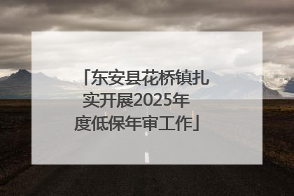 东安县花桥镇扎实开展2025年度低保年审工作