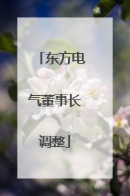 东方电气董事长调整