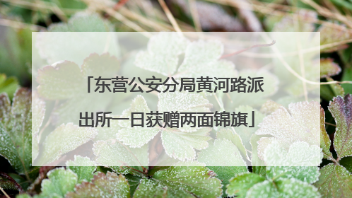 东营公安分局黄河路派出所一日获赠两面锦旗