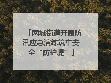 两城街道开展防汛应急演练筑牢安全“防护堤”
