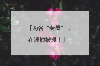 两名“专员”，在淄博被抓！