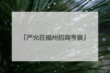 严允在福州招商考察