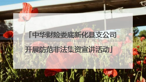 中华财险娄底新化县支公司开展防范非法集资宣讲活动