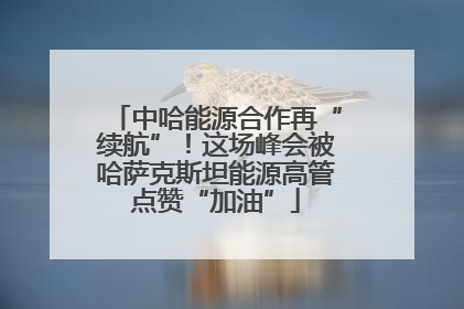中哈能源合作再“续航”！这场峰会被哈萨克斯坦能源高管点赞“加油”