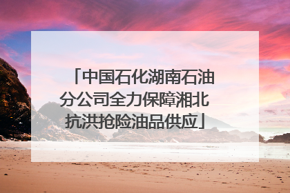 中国石化湖南石油分公司全力保障湘北抗洪抢险油品供应