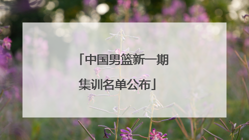 中国男篮新一期集训名单公布