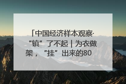 中国经济样本观察·“镇”了不起｜为衣做架，“挂”出来的80亿元“衣架产业”
