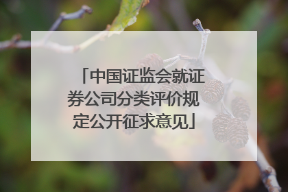 中国证监会就证券公司分类评价规定公开征求意见