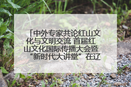 中外专家共论红山文化与文明交流 首届红山文化国际传播大会暨“新时代大讲堂”在辽宁朝阳举办