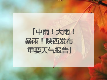 中雨！大雨！暴雨！陕西发布重要天气报告
